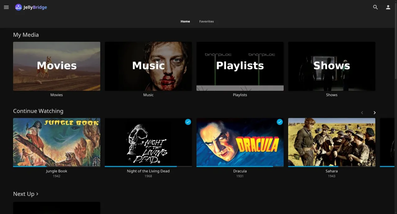 JellyBridge Home screen with My Media, Continue Watching and Next Up rows