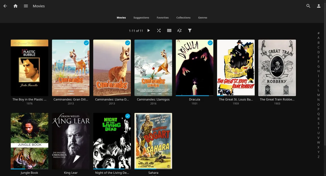 Movies library shown as a poster grid with sort and filter controls